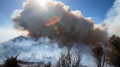 Photo of Los Angeles wildfires devour thousands of homes, death toll rises to 10