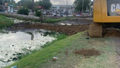 Photo of Median to be removed in Carifesta Ave expansion