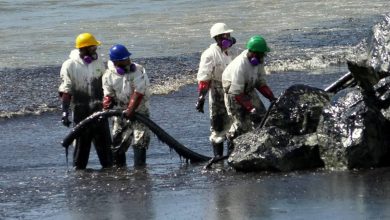 Photo of One year later, Tobago still battling to recover from oil spill