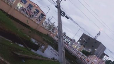 Photo of Utility poles fall on Homestretch Ave