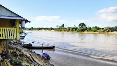 Photo of Six GDF ranks shot at Cuyuni