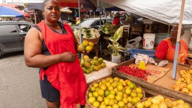 Photo of Record citrus prices elsewhere in the region a likely opportunity for local farmers