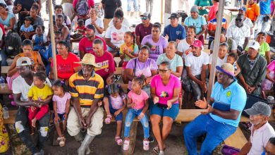 Photo of President backs development of 1,000 acres at Kimbia for blackeye, red beans