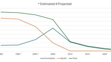 Photo of Legal abortion yields 97% decline in complications