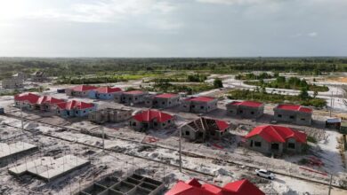 Photo of Young Professional Homes scheme at Silica City