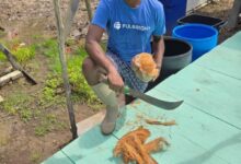 Photo of Food in the “Great Land of Guyana”