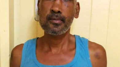 Photo of Hope Estate man pleads guilty to killing best friend in drunken brawl