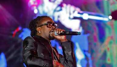 Photo of Caribbean stars kick off all-boro Rise Up NYC Summerfest