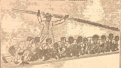 Photo of 100 +: Notes on Political  Parties that shaped Guyana