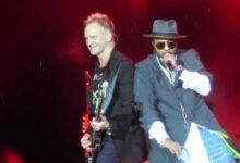Photo of Shaggy & Friends snag Summerstage date in Central Park