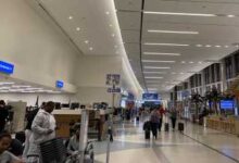 Photo of US$53,000 seized from Jamaican-bound passenger in Fort Lauderdale