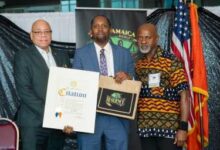 Photo of Trinidadian-American entrepreneur Keita Charles receives Caribbean American Heritage Award in Nassau County